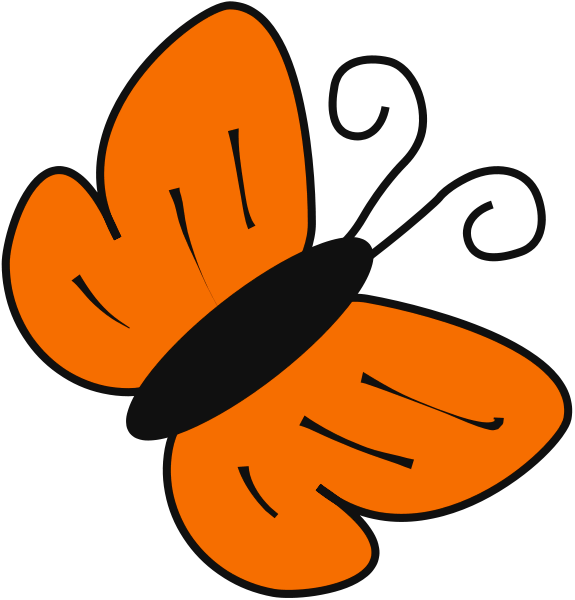 butterfly